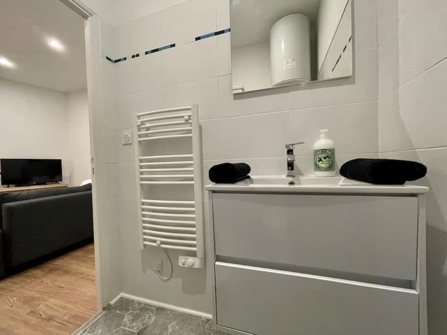 Les Appartements D'Arthur - Pont-Neuf Καρκασόν Εξωτερικό φωτογραφία