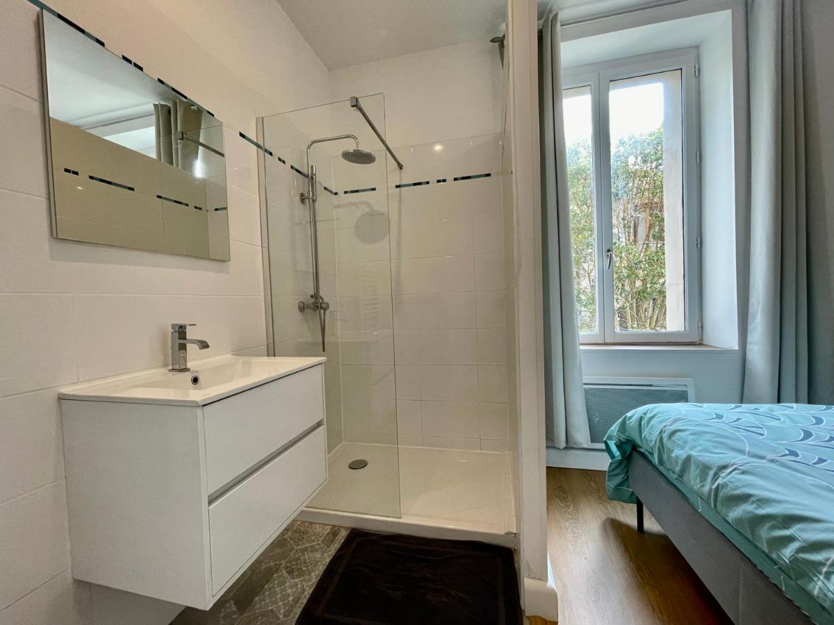 Les Appartements D'Arthur - Pont-Neuf Καρκασόν Εξωτερικό φωτογραφία
